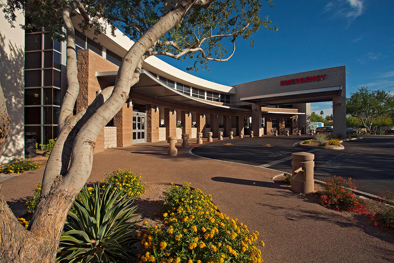 Solid Support Healthcare Technology Corporation