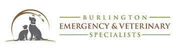 Burlington Emergency Veterinary Specialists logo